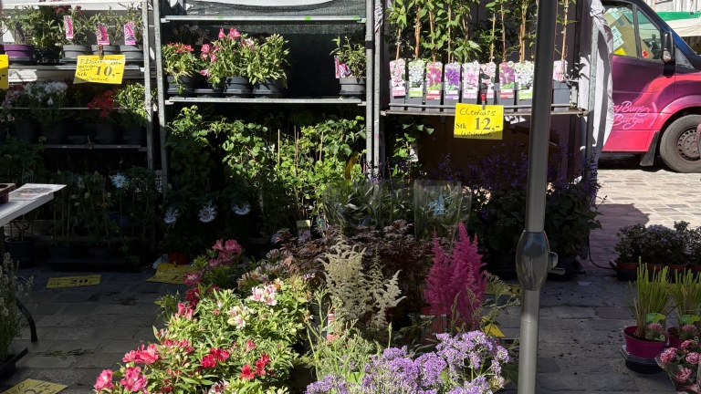 Blumen und Pflanzen LKW