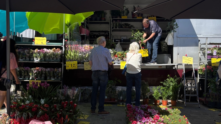 Blumen und Pflanzen LKW