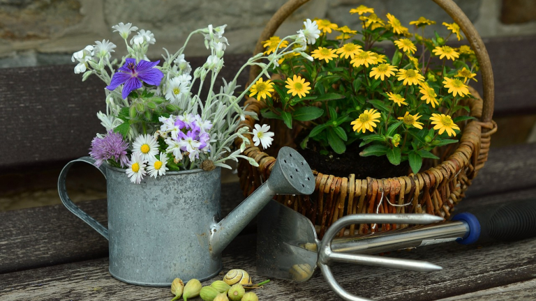 Blumen- und Pflanzenmarkt