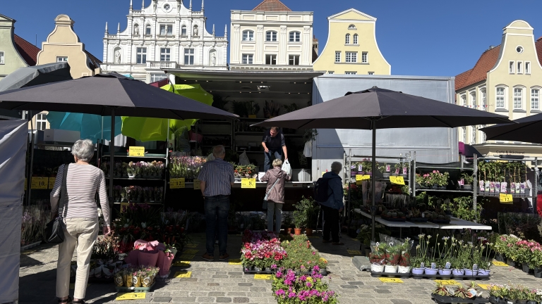 Blumen und Pflanzen LKW
