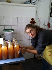 Maja Glawe