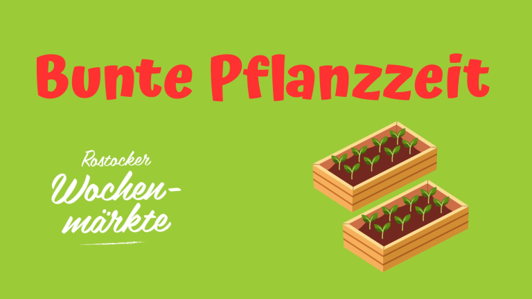 Bunte Pflanzzeit